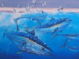 fish and bird art - blue