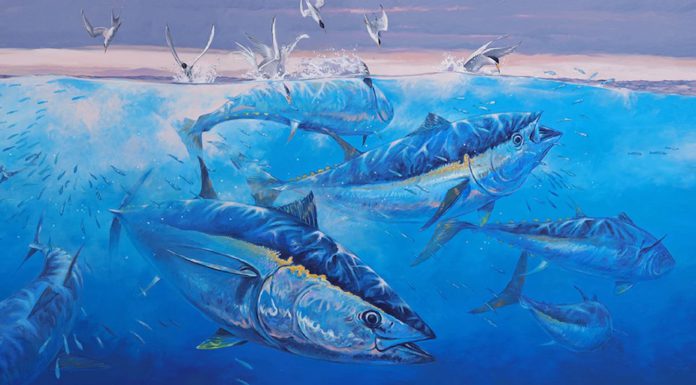 fish and bird art - blue