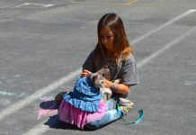 cat and girl