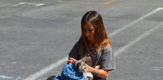 cat and girl