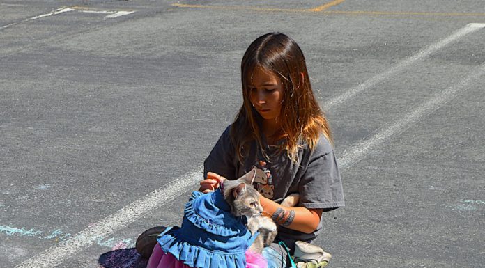cat and girl