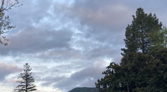 adult rec center in Los Gatos at sunset