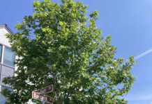 The North 40 Shell Game: a $250M betrayal North 40 Phase 1