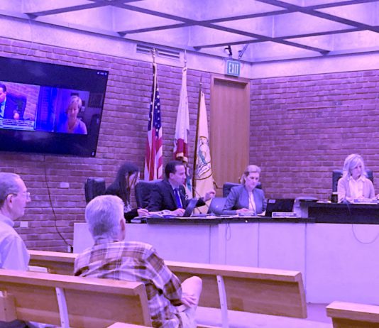Opinion: Gadflies, free speech and the future of civic dialogue here in Los Gatos code of conduct hearing
