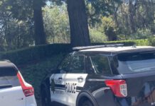 Los Gatos police SUV