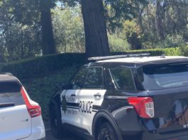 Los Gatos police SUV