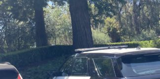 Los Gatos police SUV