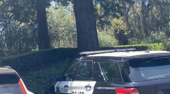 Los Gatos police SUV
