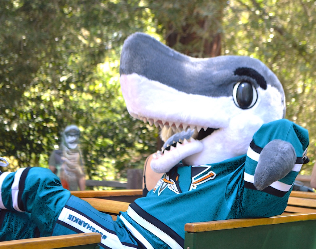 SJ Sharkie