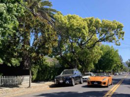 orange sports car in Los Gatos