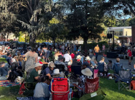Crowd watching live music outdoors on a lawn