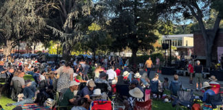 Crowd watching live music outdoors on a lawn