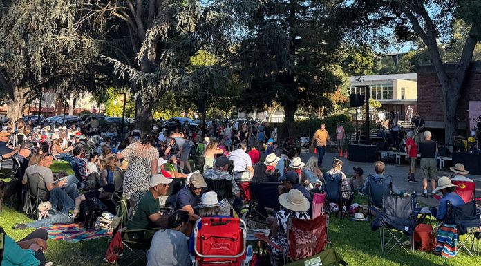 Crowd watching live music outdoors on a lawn