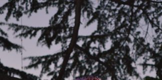Clairdee sings under the redwoods in Los Gatos
