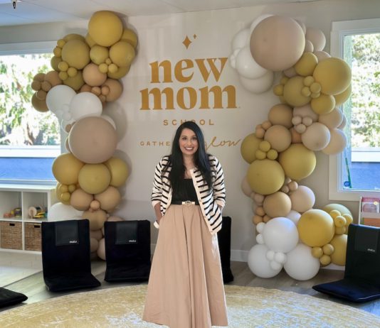 New Mom School in Los Gatos (owner)