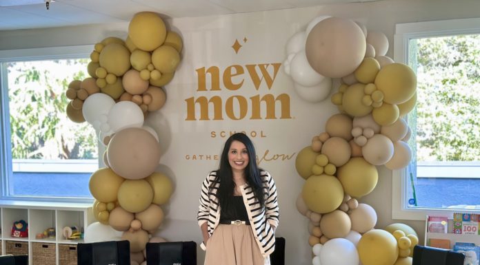 New Mom School in Los Gatos (owner)