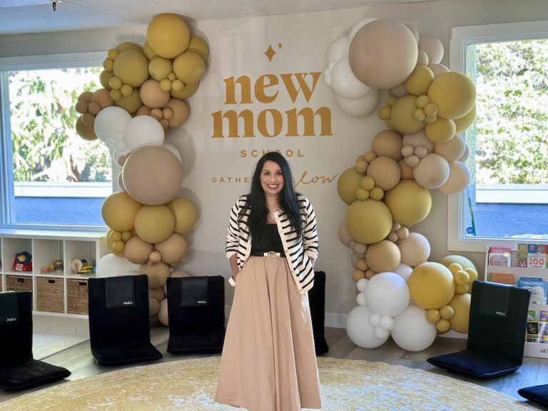 New Mom School in Los Gatos (owner)