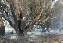firefighters mopping up