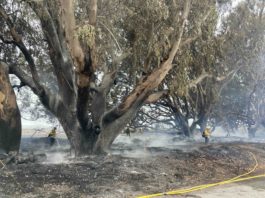 firefighters mopping up