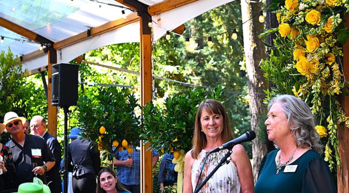 garden party