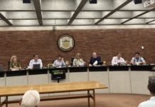 Emily Thomas speaks at Planning Commission