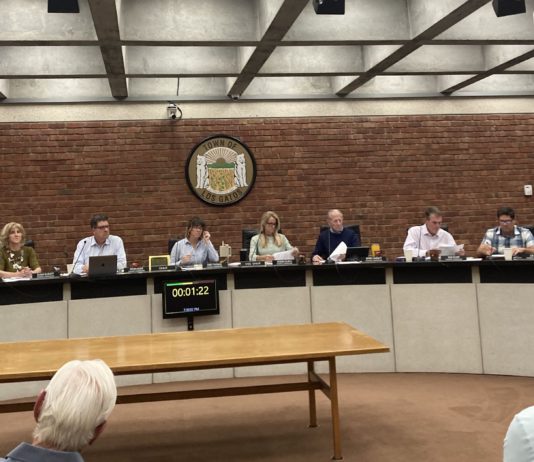 Emily Thomas speaks at Planning Commission