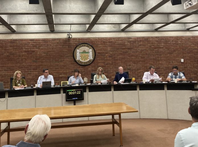 Emily Thomas speaks at Planning Commission