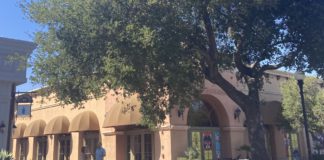 old town los gatos
