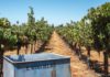 winery photo