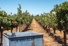 winery photo