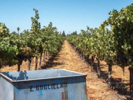winery photo