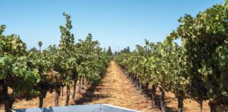 winery photo