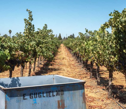 Santa Clara County looking at overhauling rural zoning winery photo