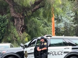 officer with firearm