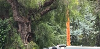 officer with firearm