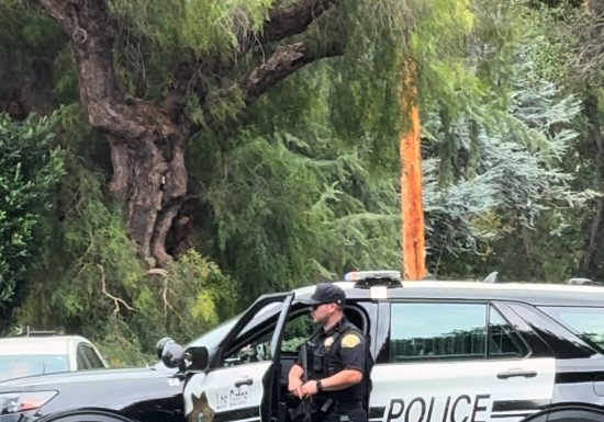 officer with firearm