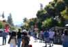 street festival in Los Gatos