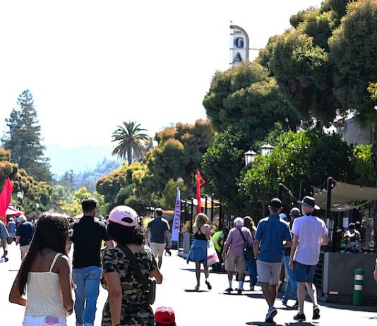 Strolling on the asphalt: Enjoying a delicious Taste of Los Gatos street festival in Los Gatos