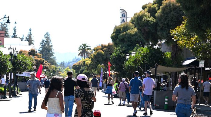 street festival in Los Gatos