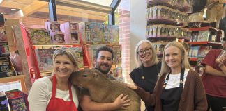 capybara at the toy store
