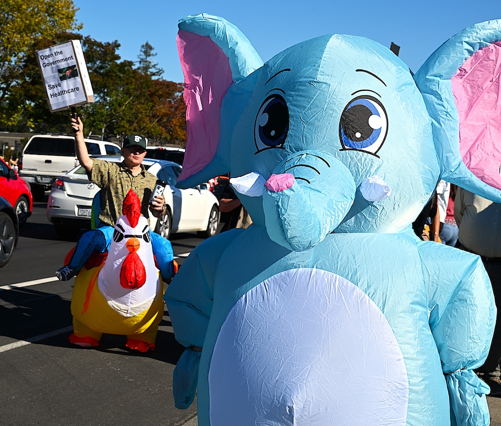 blue elephant