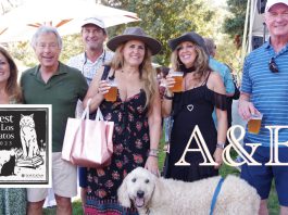 Best of Los Gatos Arts and Entertainment