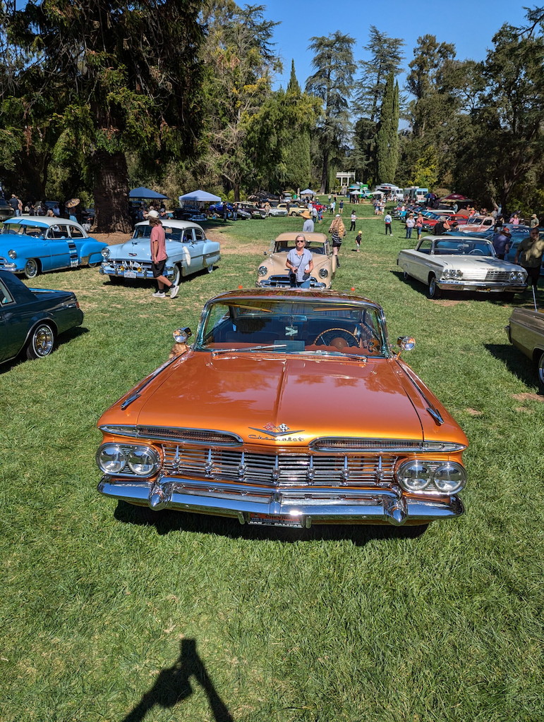 lowrider cars on lawn