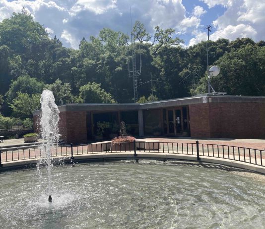 Survey Fatigue? Some questionnaires deserve our attention fountain