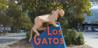 cougar sculpture