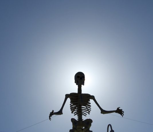 Witches, skeletons and goblins flock to Los Gatos streets skeleton