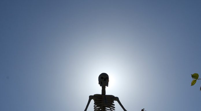 Witches, skeletons and goblins flock to Los Gatos streets skeleton