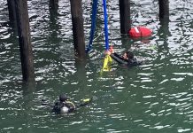 One adult dead, dog sent to animal hospital after van launches off Santa Cruz Wharf Santa Cruz Wharf vehicle extraction