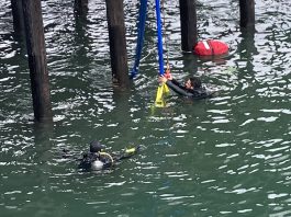 UPDATED: Authorities release name of Scotts Valley man found dead in van submerged in the Pacific Ocean at the Santa Cruz Wharf Santa Cruz Wharf vehicle extraction