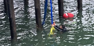 Santa Cruz Wharf vehicle extraction